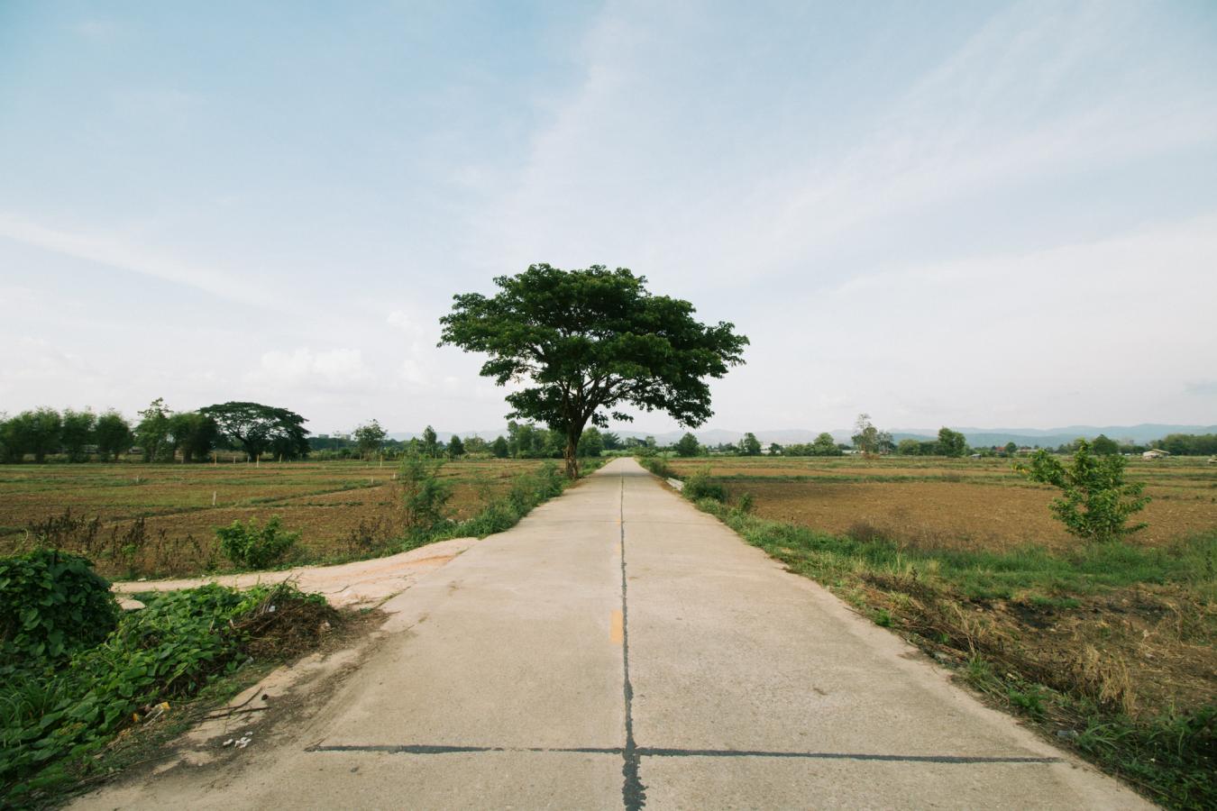 Mae Sot